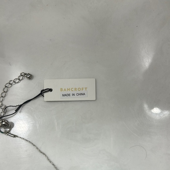 Bancroft Silver Arroy Metal Collar Necklace - Picture 3 of 8